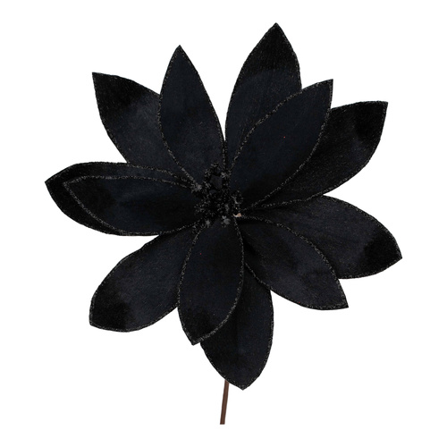 Black Velvet Poinsettia Flower