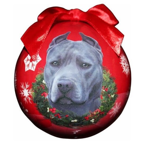PIT BULL , BLUE