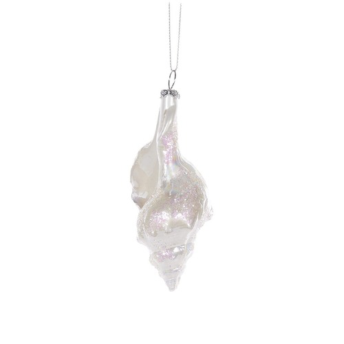 High Shine Queen Conch  Hanging..