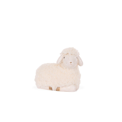 Sitting Sheep!