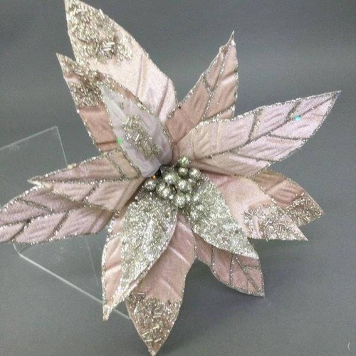Champagne Silver Poinsettia