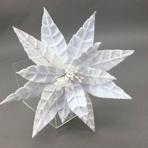 White  Ponsettia