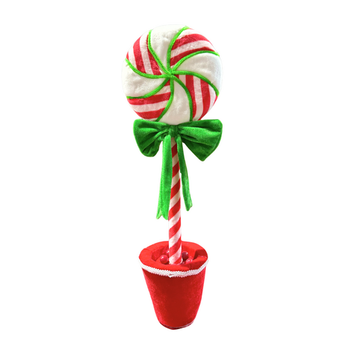 Potted Lolly Pop Lge