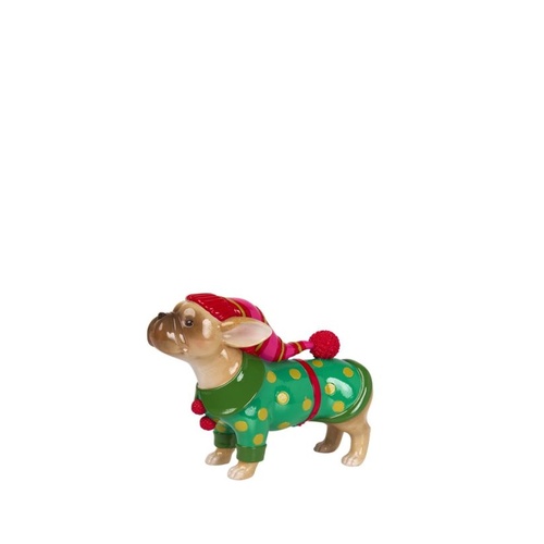 Bulldog all Dressed Up!