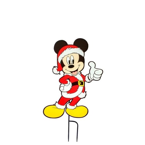 Mickey Mouse Looking Handsome!