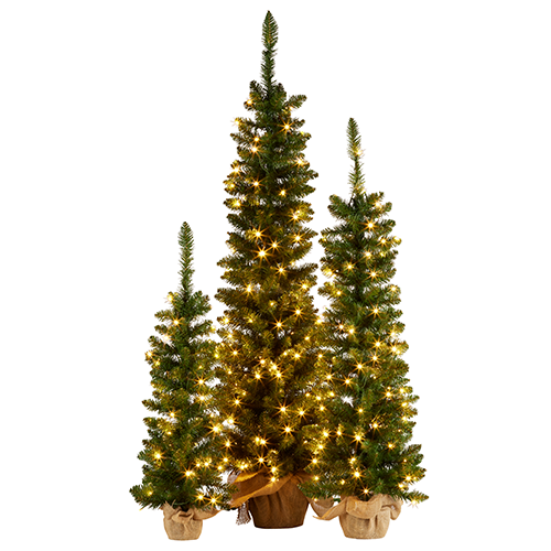 Set of 3 Trees in Hessian
