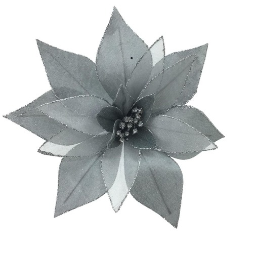 Silver Poinsettia