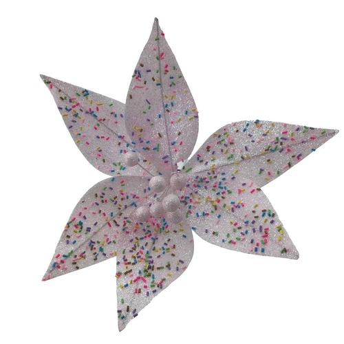Pink Poinsettia