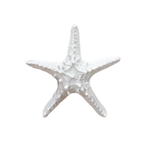  Starfish 15x4cm