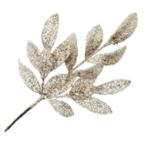 22" Leaf Spray Champagne