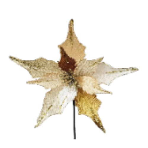 13" Poinsettia Cream