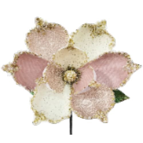 10: Magnolia Cream