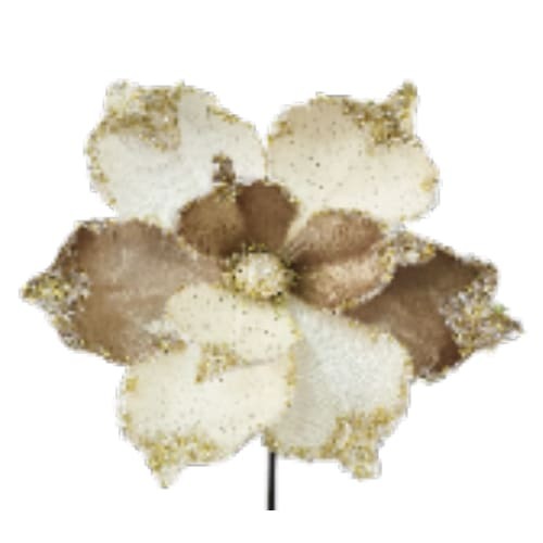 10" Magnolia Creams