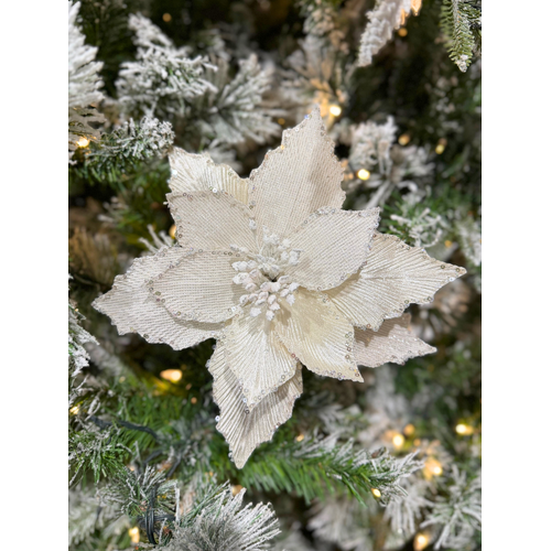 9" Poinsettia Cream