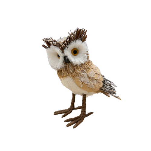 Cute Brown Owl 