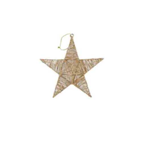 8.5" Gold Star