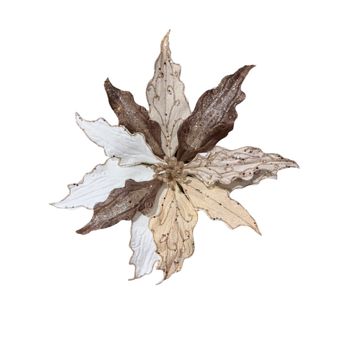 13" Poinsettia Champange