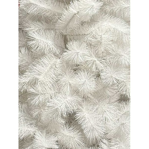 White Alaskan Pine Tree