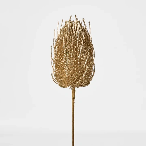 Gold Banksia 63cm