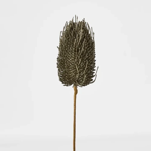 Olive Green Banksia