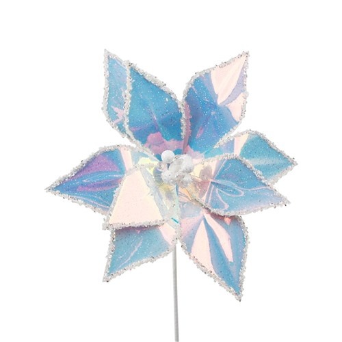 Iridescent Poinsettia