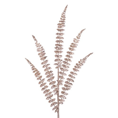 Champagne Fern