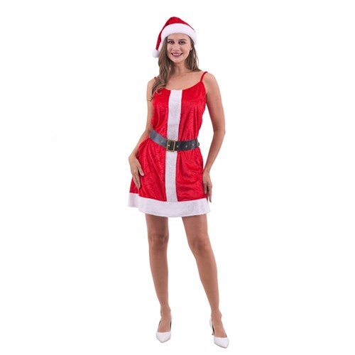 Women's Santa Dress