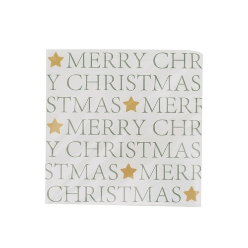 Napkins 20 PK 2 Ply - Merry Christmas