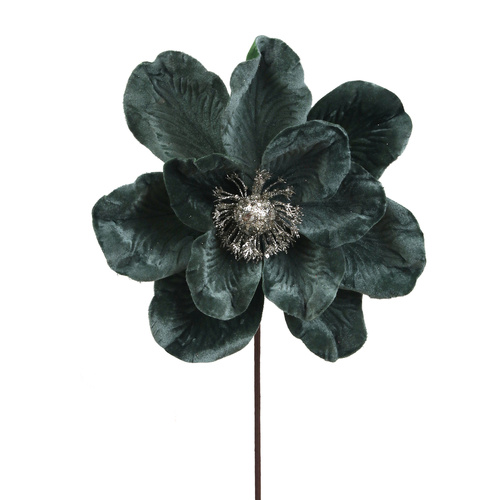 Sage Green Magnolia 24cm