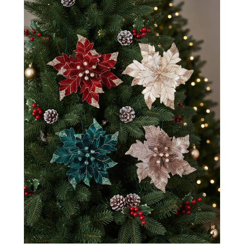 Velvet Poinsettia