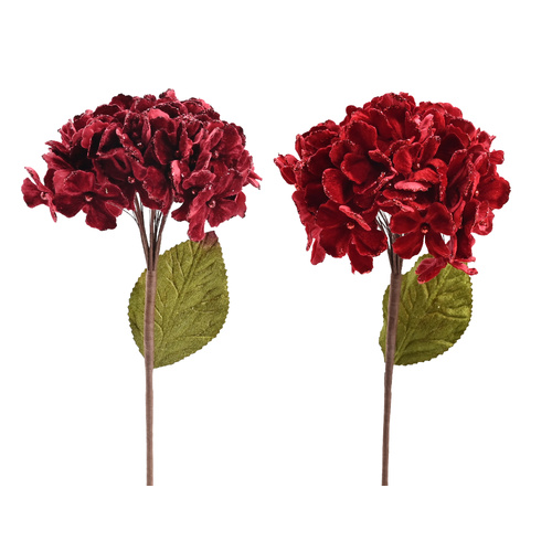 Velvet Hydrangea