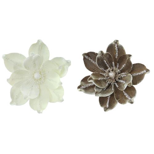 Coffee Cream Magnolia with Clip 