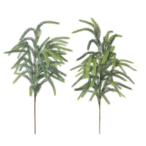 Norfolk Pine Soft Needle Spray 75cm 