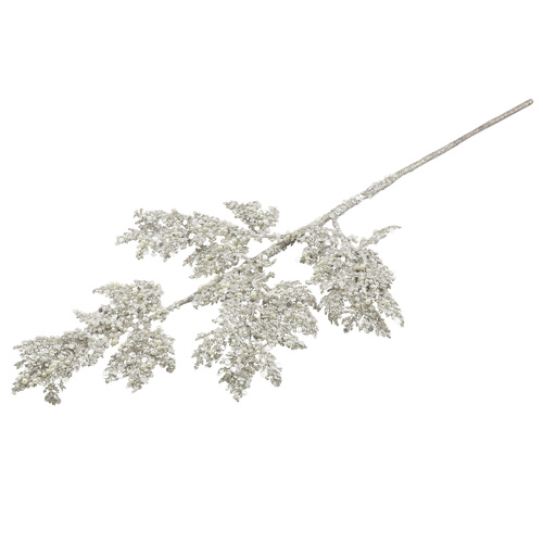 Cedar Spray