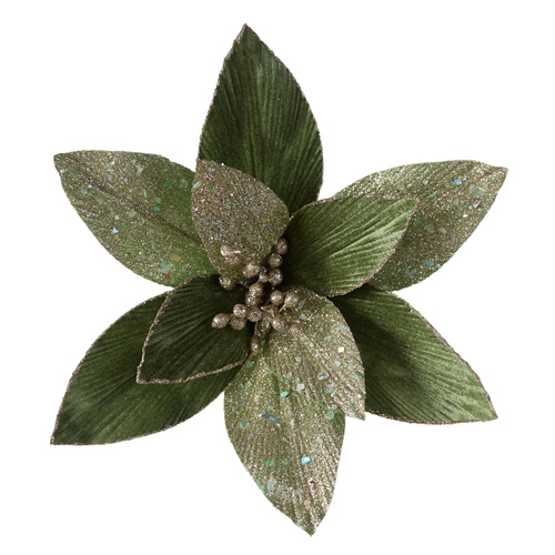 Sage and Champagne Poinsettia