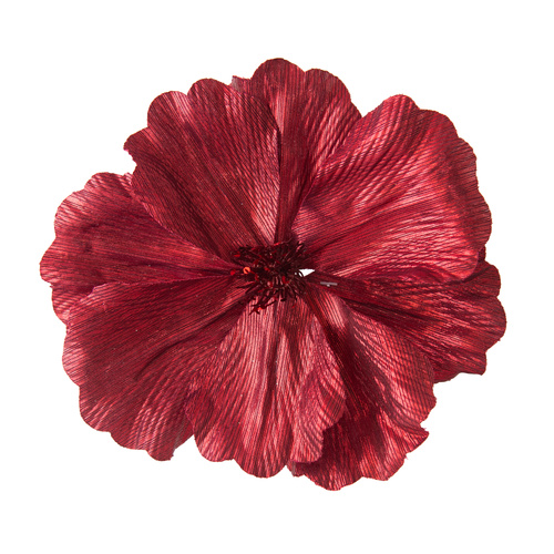 Magnolia Burgundy