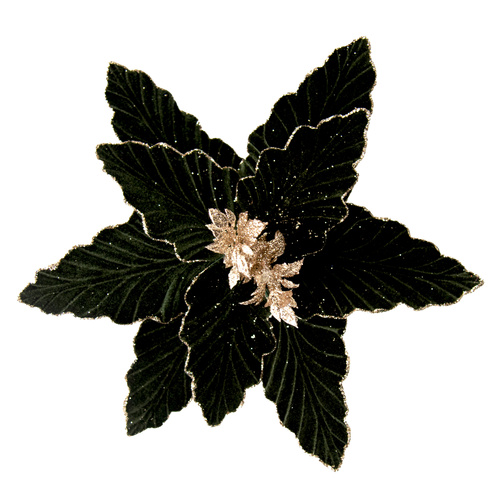 Poinsettia Green Gold Edge