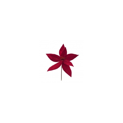 Red Poinsettia 18cm