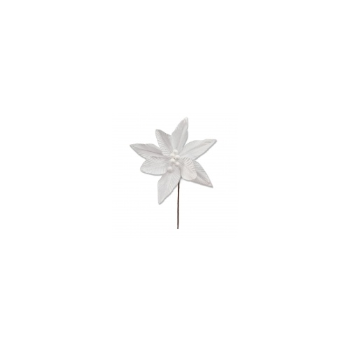 White Poinsettia 25x24cm
