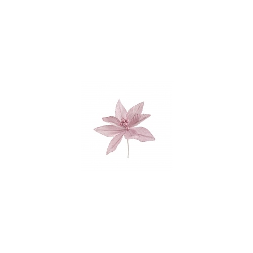 Pink Poinsettia 25x24cm
