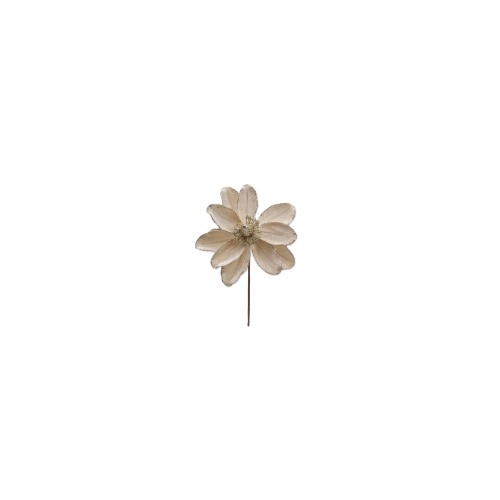 Champagne Poinsettia 30x24cm
