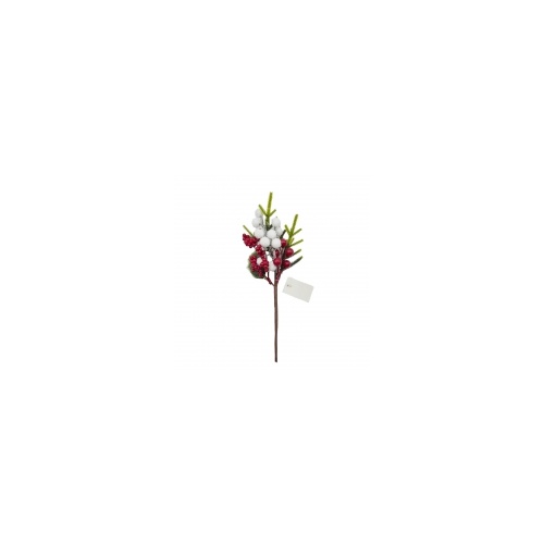 Berry Pick
