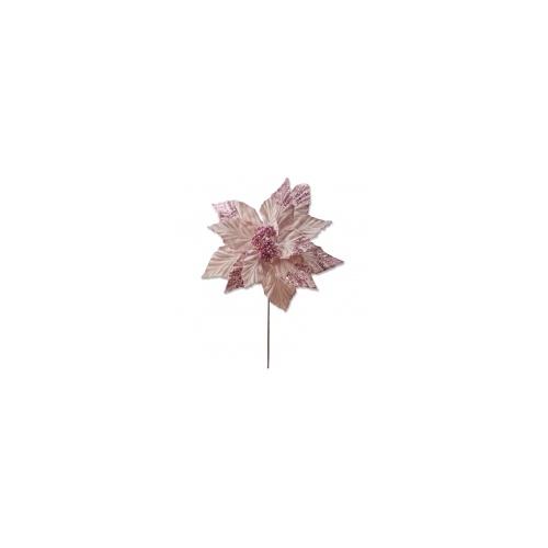 Pink Poinsettia 50x38cm