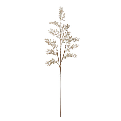 Cedar Sray Gold 78cm