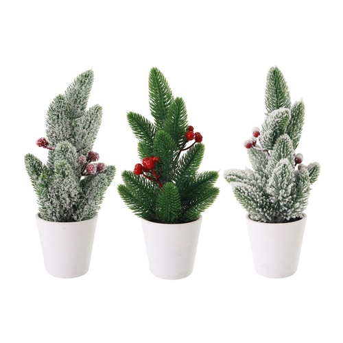 Pine Berry Tree White Pot 26cm